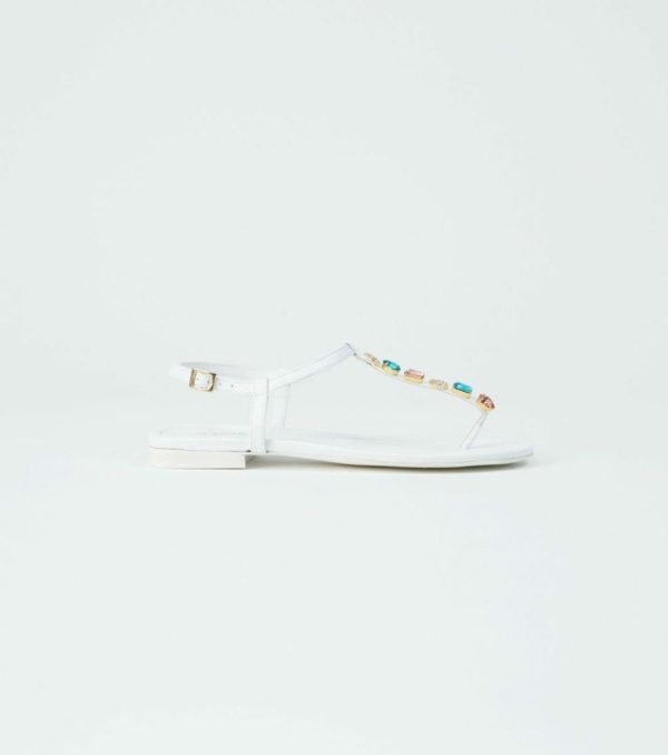 Vowear.shop2fe9254bd9 2